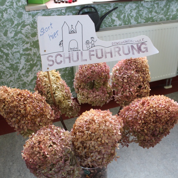 Tag der offenen Domgrundschultür